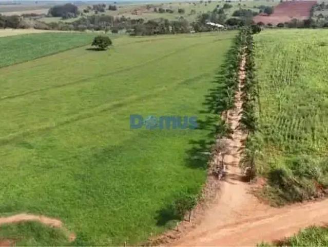Sítio / Chácara para Venda em Jaguapitã/PR Zona Rural 3 Quartos
