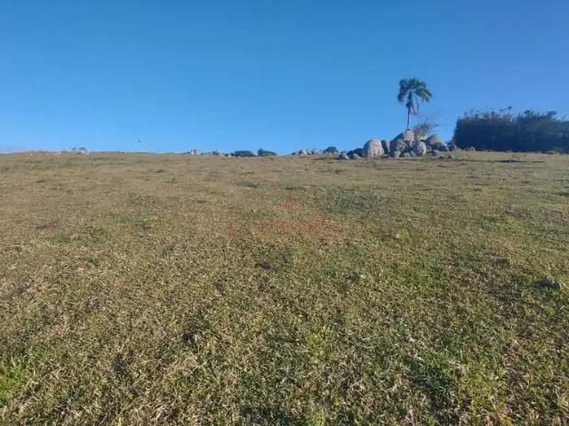 Sítio / Chácara para Venda em Jaguaruna/SC Centro