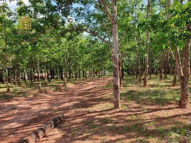 Sítio / Chácara para Venda em Jales/SP Área Rural de Jales 2 Quartos
