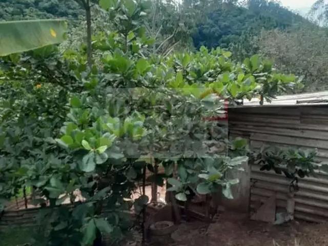 Sítio / Chácara para Venda em Jambeiro/SP Zona Rural 1 Quartos