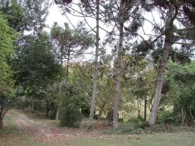 Sítio / Chácara para Venda em Jambeiro/SP Zona Rural 3 Quartos