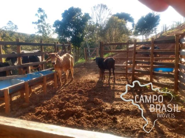 Sítio / Chácara para Venda em Jambeiro/SP Centro 2 Quartos