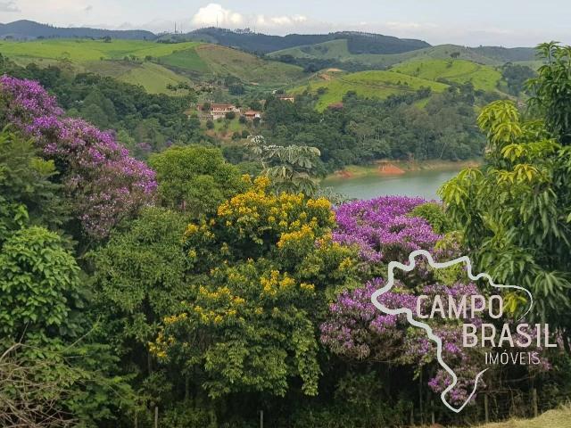 Sítio / Chácara para Venda em Jambeiro/SP Centro 5 Quartos
