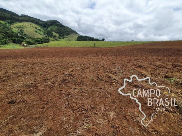 Sítio / Chácara para Venda em Jambeiro/SP Centro
