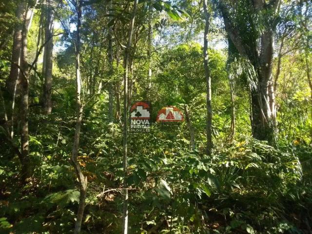 Sítio / Chácara para Venda em Jambeiro/SP Santa Clara 4 Quartos