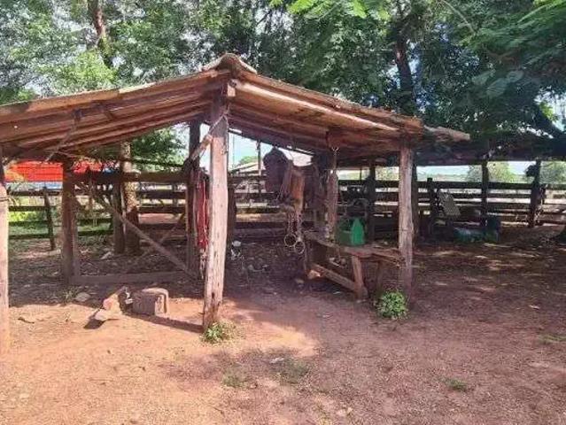 Sítio / Chácara para Venda em Jangada/MT Centro 3 Quartos