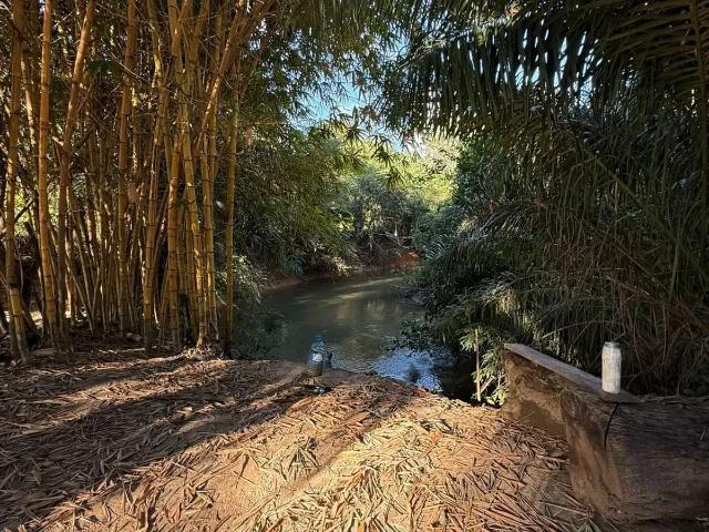 Sítio / Chácara para Venda em Jangada/MT Zona Rural 3 Quartos
