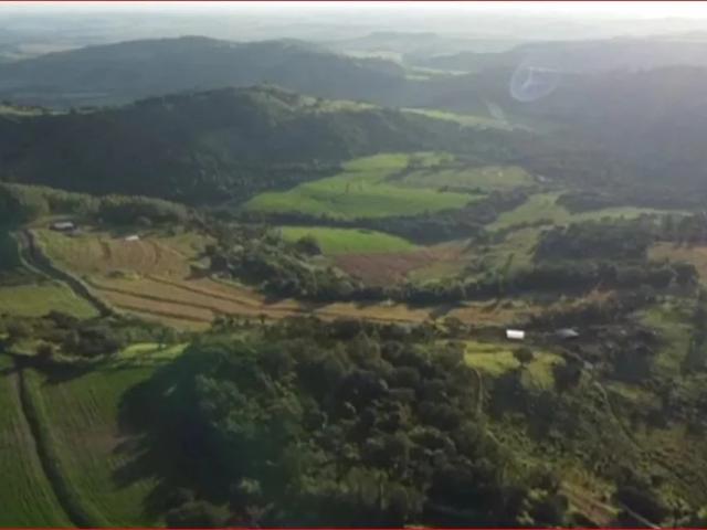 Sítio / Chácara para Venda em Jandaia do Sul/PR Zona Rural