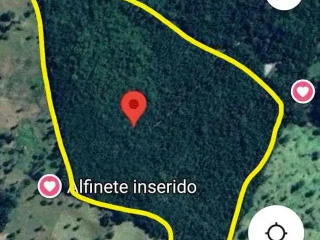 Sítio / Chácara para Venda em Jandaia/GO Setor Central 1 Quartos