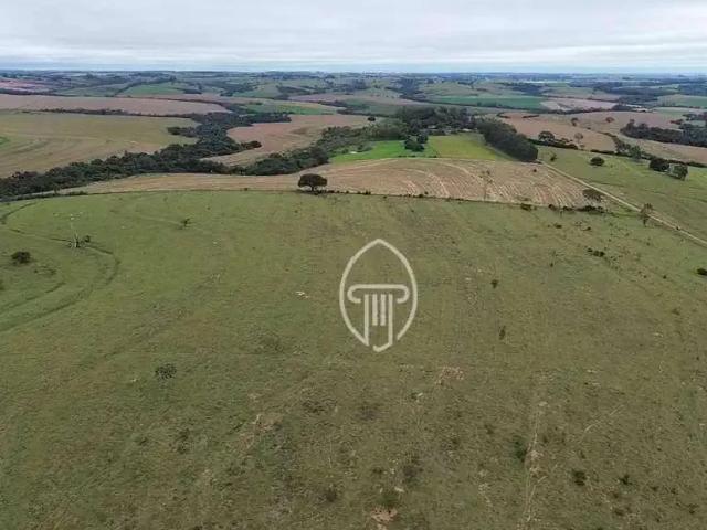Sítio / Chácara para Venda em Janiópolis/PR Zona Rural