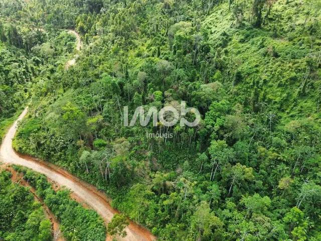 Sítio / Chácara para Venda em Jaraguá do Sul/SC Barra do Rio Cerro