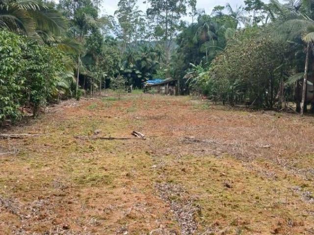 Sítio / Chácara para Venda em Jaraguá do Sul/SC Rio da Luz 3 Quartos