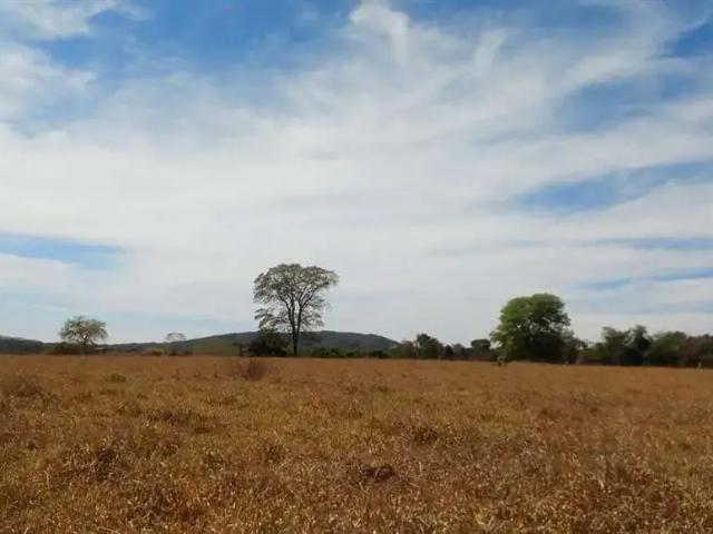 Sítio / Chácara para Venda em Jaraguá/GO Zona Rural 1 Quartos