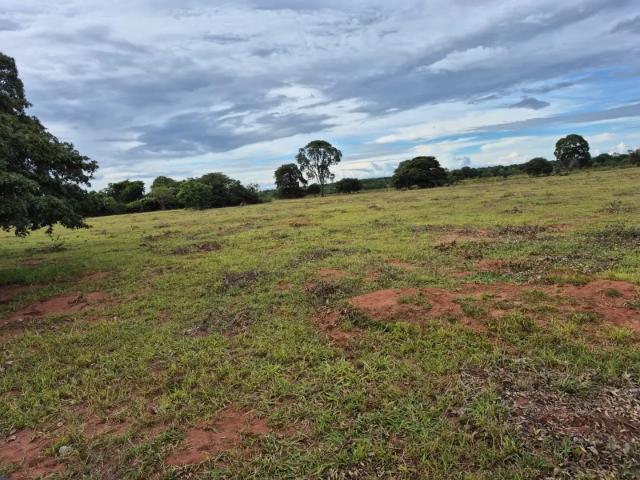 Sítio / Chácara para Venda em Jaraguari/MS Zona Rural