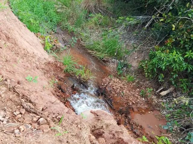 Sítio / Chácara para Venda em Jaraguari/MS Zona Rural