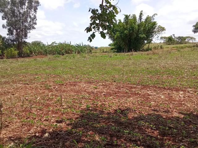 Sítio / Chácara para Venda em Jaraguari/MS Zona Rural 2 Quartos