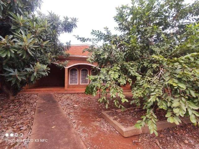 Sítio / Chácara para Venda em Jardinópolis/SP Centro 4 Quartos