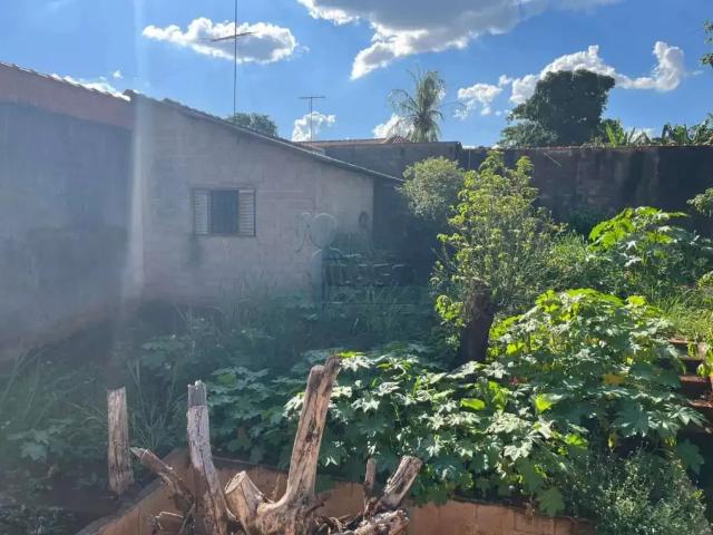 Sítio / Chácara para Venda em Jardinópolis/SP Juruce 3 Quartos