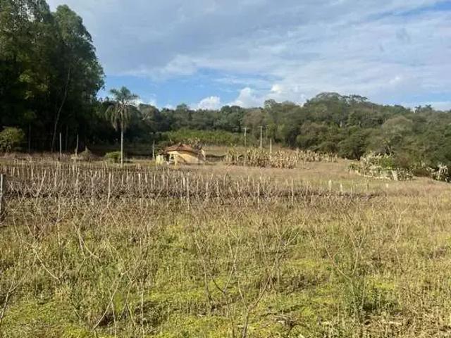 Sítio / Chácara para Venda em Jarinu/SP Chácaras de Recreio da Fazenda Estância São Paulo