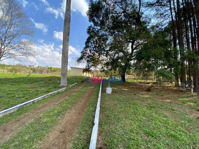 Sítio / Chácara para Venda em Jarinu/SP Fazenda Primavera 2 Quartos