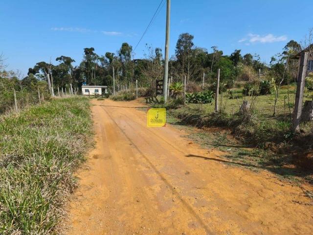 Sítio / Chácara para Venda em Juiz de Fora/MG Centro 4 Quartos