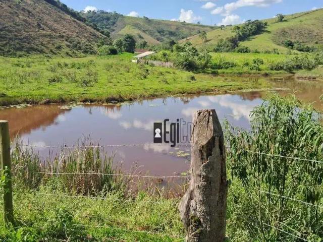 Sítio / Chácara para Venda em Juiz de Fora/MG Centro