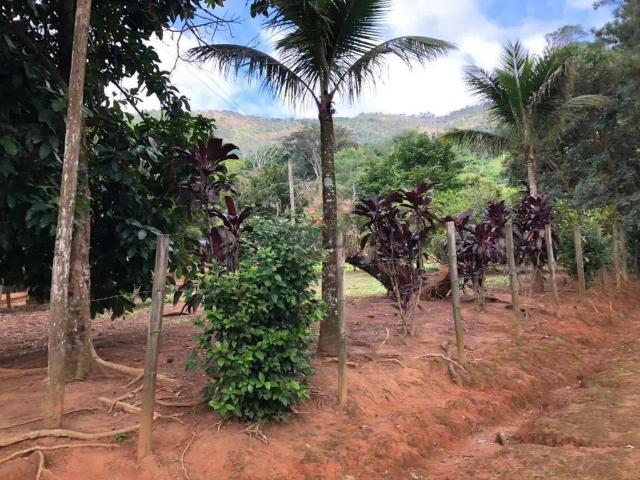 Sítio / Chácara para Venda em Juiz de Fora/MG Área Rural de Juiz de Fora 4 Quartos