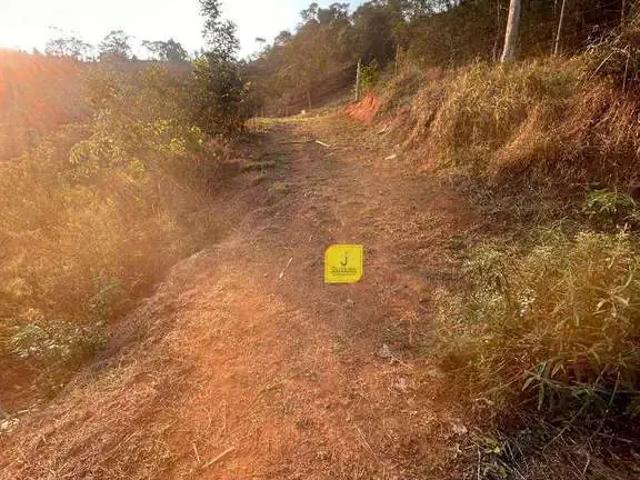 Sítio / Chácara para Venda em Juiz de Fora/MG Dias Tavares