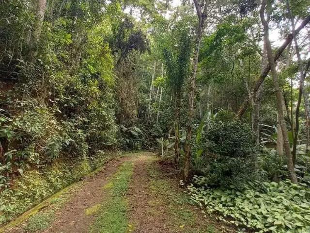 Sítio / Chácara para Venda em Juiz de Fora/MG Salvaterra 3 Quartos