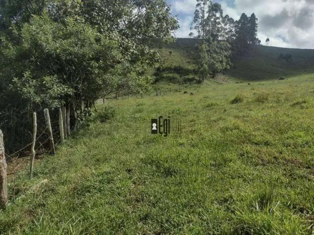 Sítio / Chácara para Venda em Juiz de Fora/MG Rosário de Minas 2 Quartos