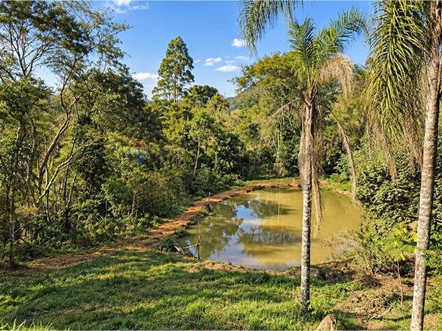 Sítio / Chácara para Venda em Juiz de Fora/MG Torreões 2 Quartos