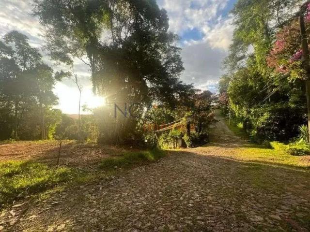 Sítio / Chácara para Venda em Juiz de Fora/MG Tiguera