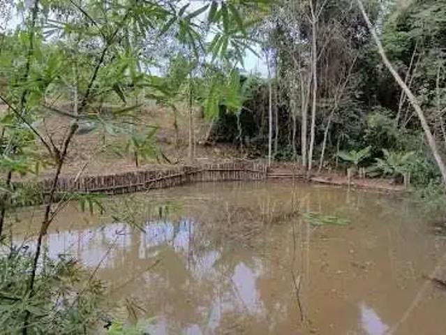Sítio / Chácara para Venda em Juiz de Fora/MG Valadares