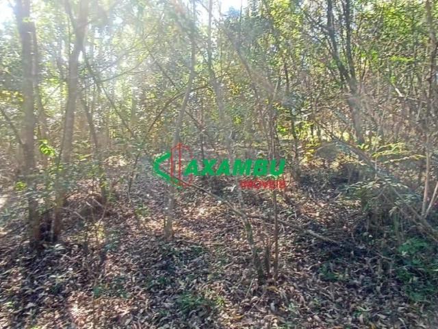 Sítio / Chácara para Venda em Jundiaí/SP Jundiaí Mirim