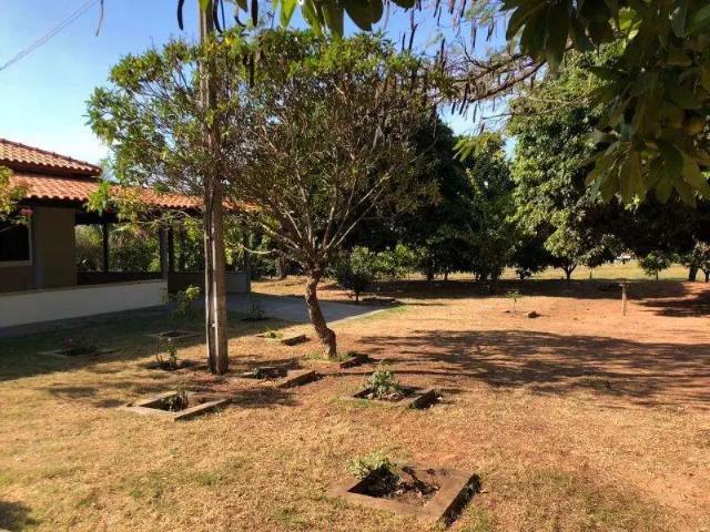 Sítio / Chácara para Venda em Junqueirópolis/SP Centro 3 Quartos