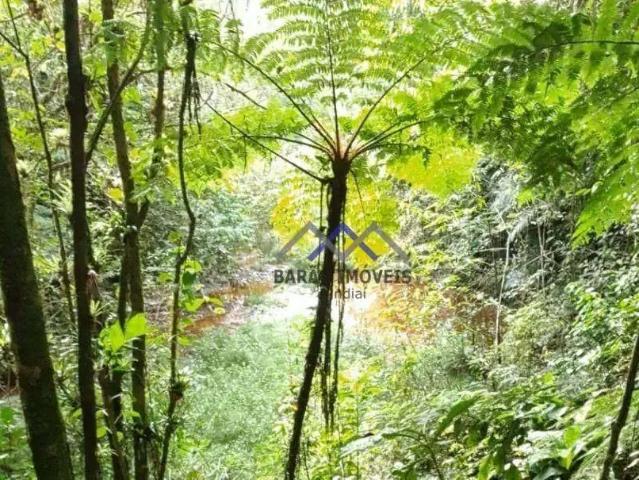 Sítio / Chácara para Venda em Juquitiba/SP Estancia Belvedere 1 Quartos
