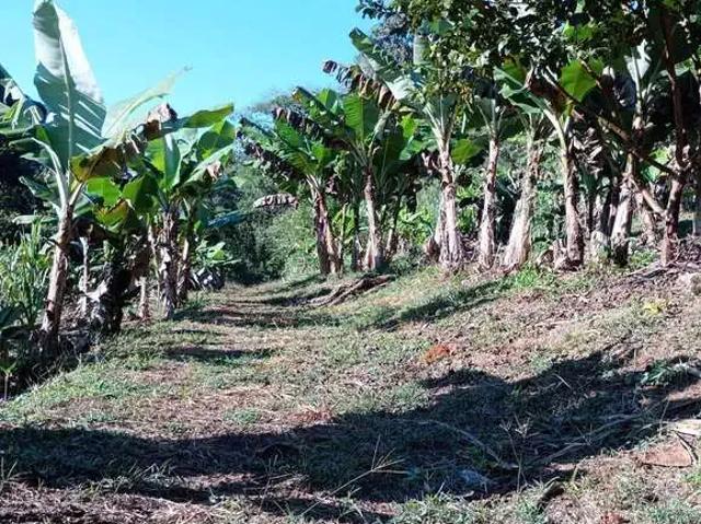 Sítio / Chácara para Venda em Juquitiba/SP Zona Rural