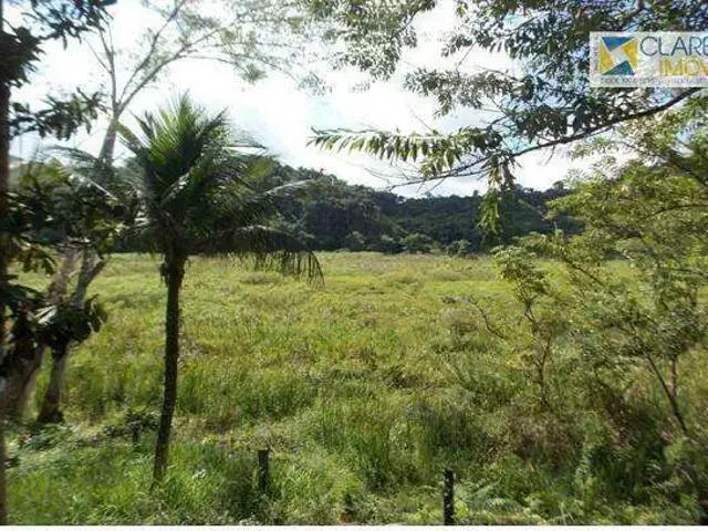 Sítio / Chácara para Venda em Juquiá/SP Zona Rural