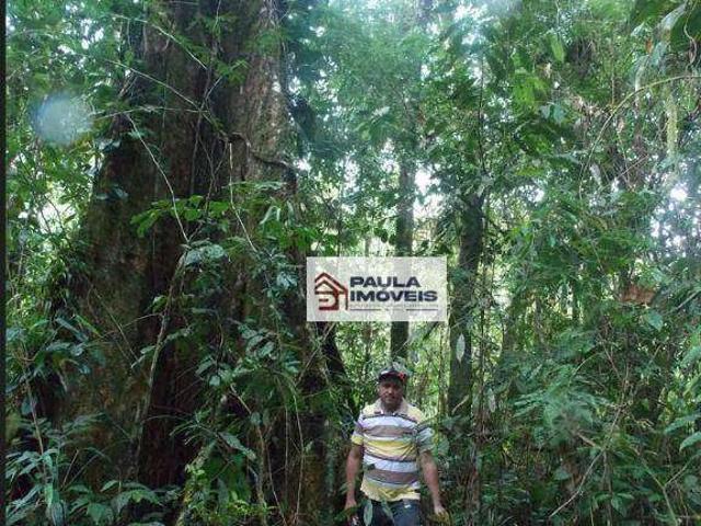 Sítio / Chácara para Venda em Juquiá/SP Zona Rural 2 Quartos