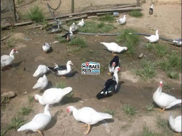 Sítio / Chácara para Venda em Juquiá/SP Zona Rural 2 Quartos