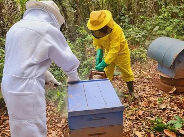 Sítio / Chácara para Venda em Juruaia/MG Zona Rural 2 Quartos