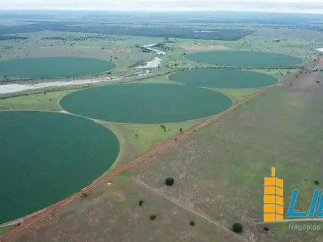 Sítio / Chácara para Venda em Jussara/GO Zona Rural