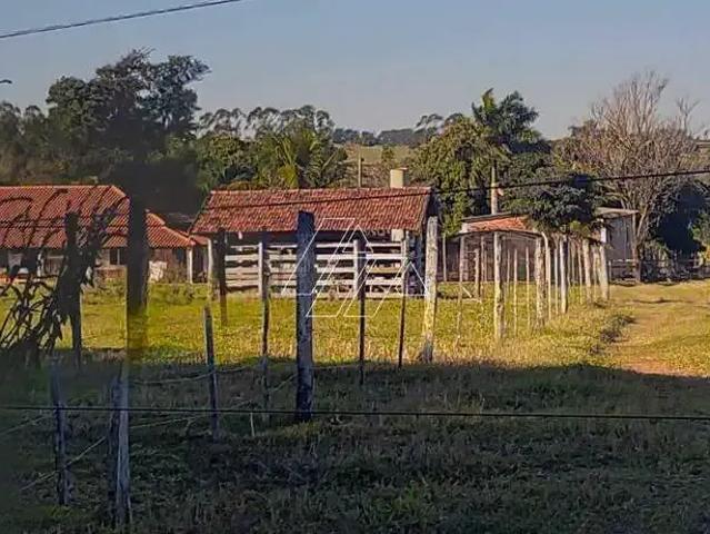 Sítio / Chácara para Venda em Ocauçu/SP Zona Rural 3 Quartos