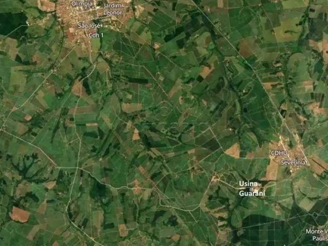 Sítio / Chácara para Venda em Olímpia/SP Zona Rural 99 Quartos