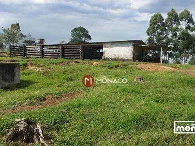 Sítio / Chácara para Venda em Ortigueira/PR Centro 3 Quartos