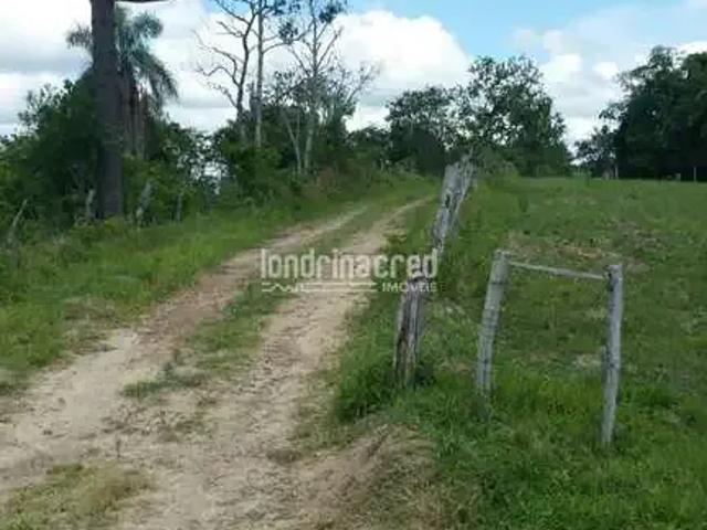 Sítio / Chácara para Venda em Ortigueira/PR Zona Rural