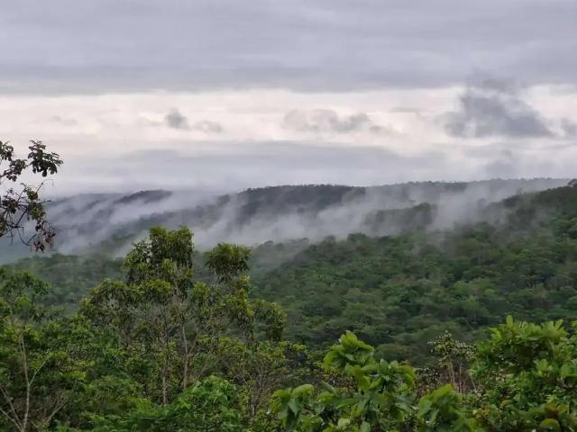 Sítio / Chácara para Venda em Orizona/GO Zona Rural