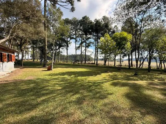 Sítio / Chácara para Venda em Otacílio Costa/SC Zona Rural 3 Quartos