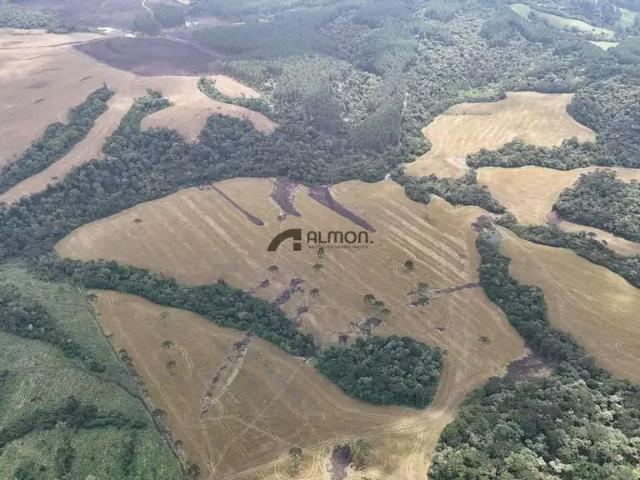 Sítio / Chácara para Venda em Otacílio Costa/SC Zona Rural