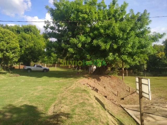 Sítio / Chácara para Venda em Ourizona/PR Zona Rural